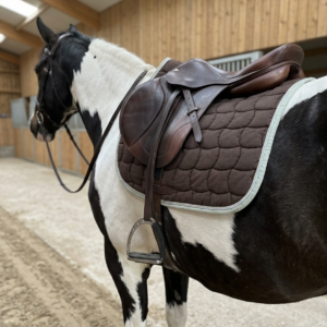 Tapis - Harcour