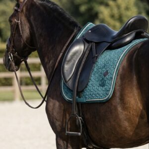 Tapis - Kentucky