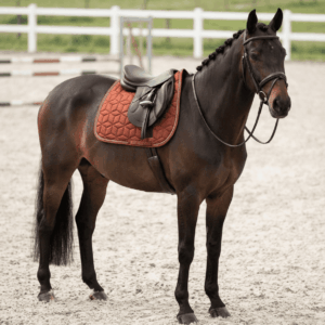 Tapis - Equithème